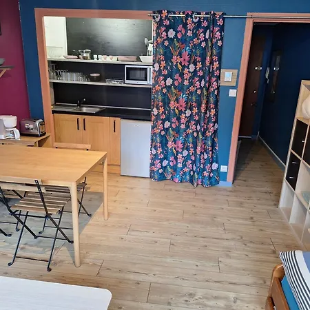 Apartament Grenoble: Jardin De Ville...